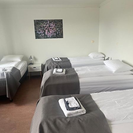 Eidavellir Apartments And Rooms 埃基斯蒂尔 外观 照片